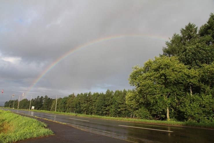 ファイル 372-3.jpg