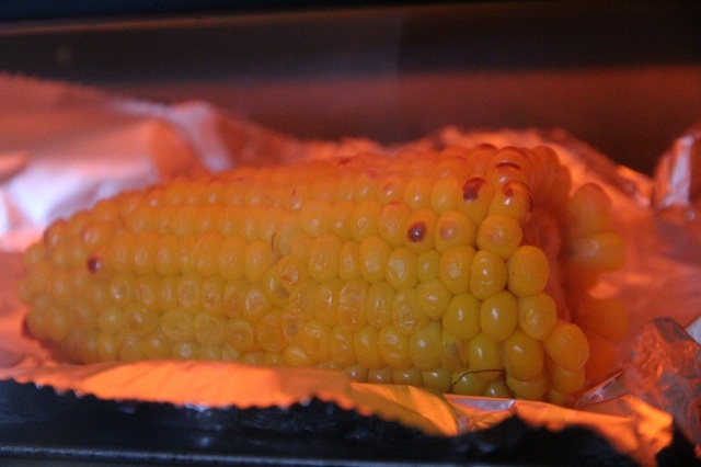 ファイル 372-5.jpg