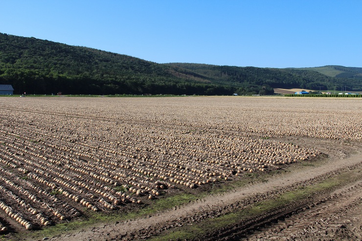 ファイル 374-1.jpg