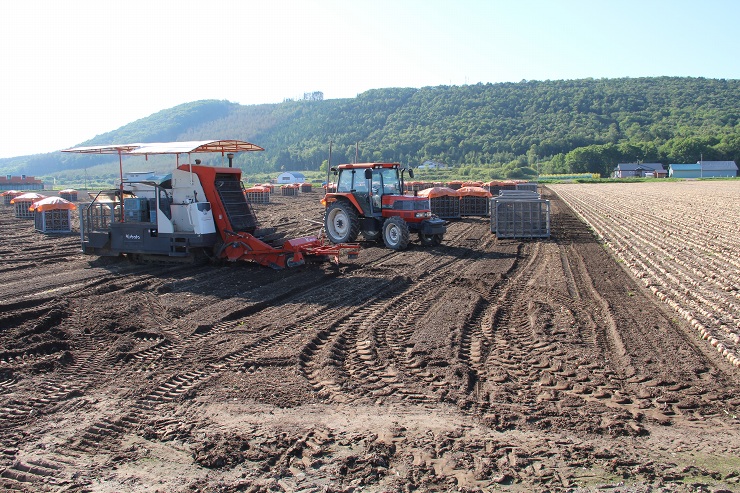 ファイル 374-2.jpg