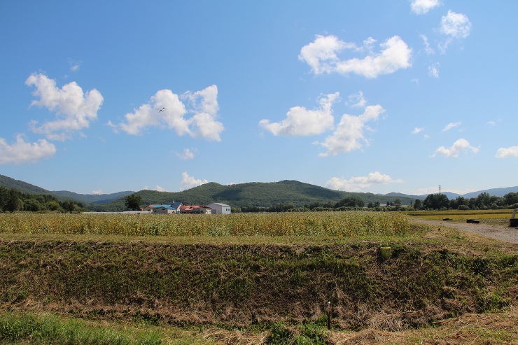 ファイル 375-3.jpg