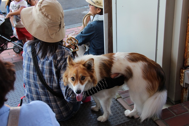 ファイル 376-4.jpg