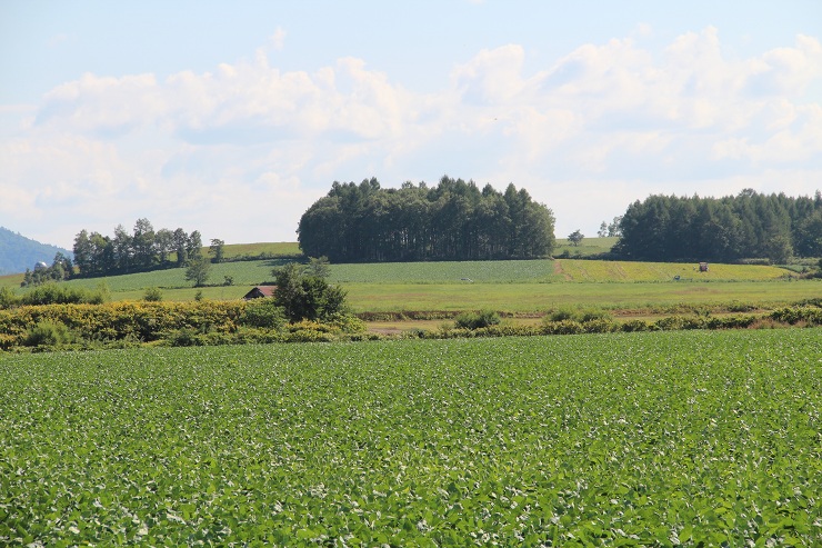 ファイル 377-2.jpg