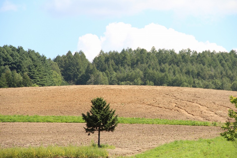 ファイル 381-4.jpg