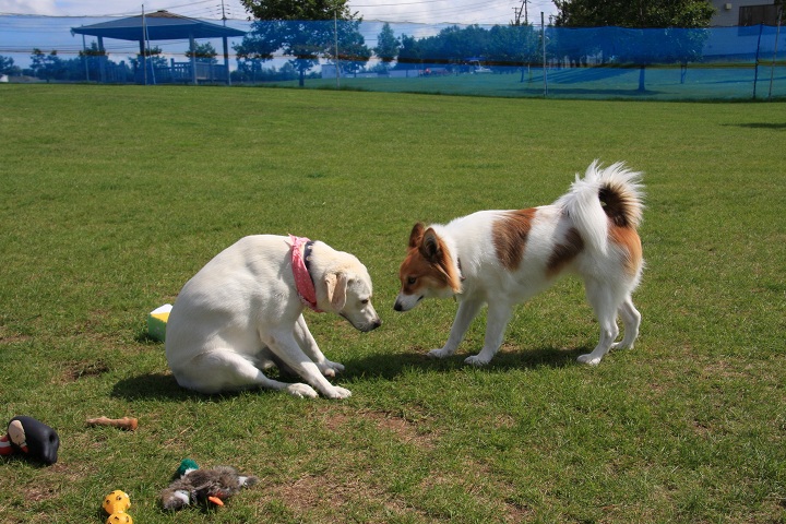 ファイル 383-2.jpg