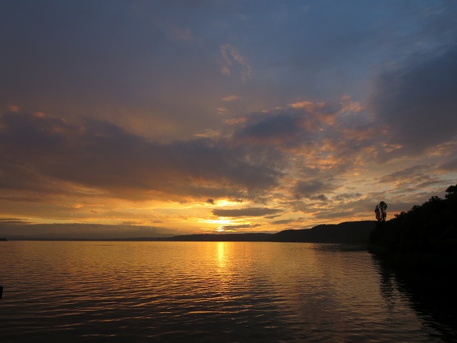 ファイル 384-1.jpg