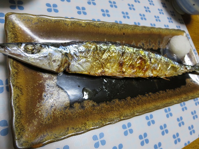 ファイル 384-5.jpg