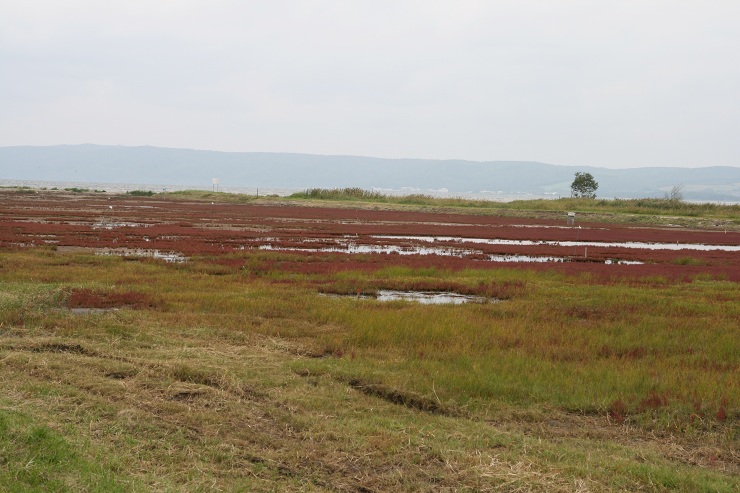 ファイル 385-2.jpg