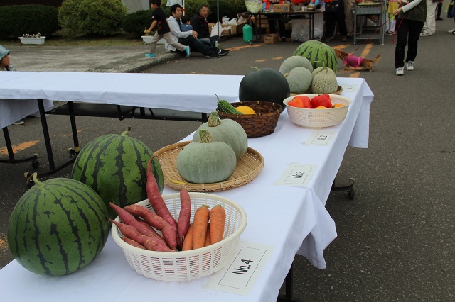 ファイル 386-2.jpg