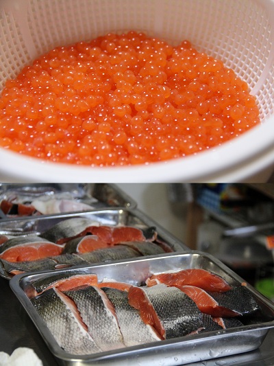 ファイル 386-5.jpg