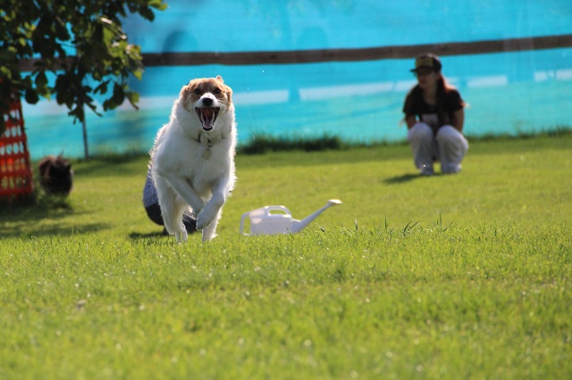 ファイル 387-3.jpg