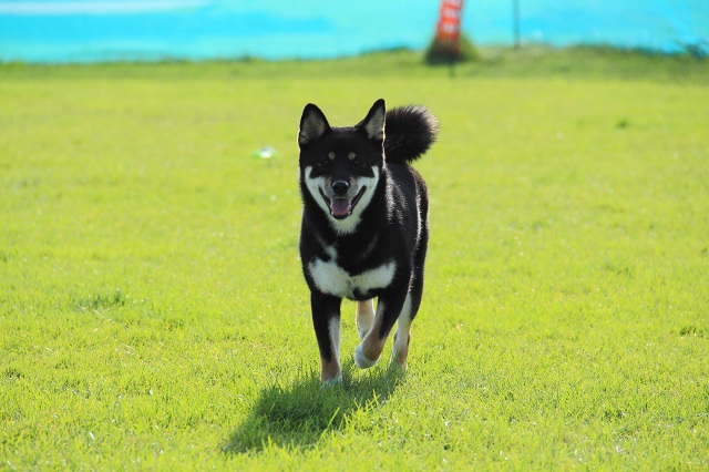 ファイル 387-4.jpg