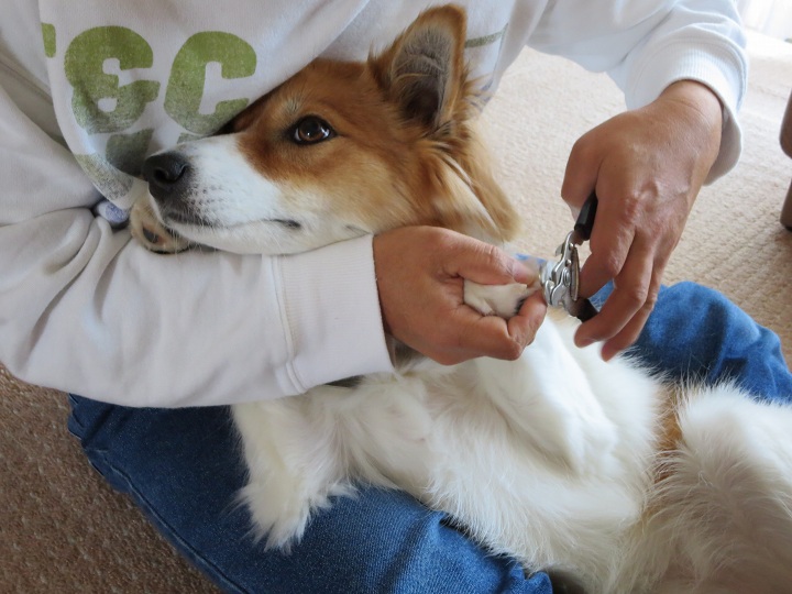 ファイル 389-1.jpg