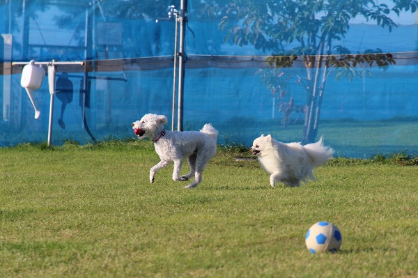 ファイル 390-4.jpg