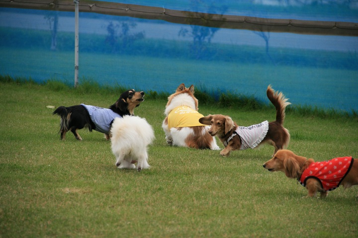 ファイル 391-5.jpg