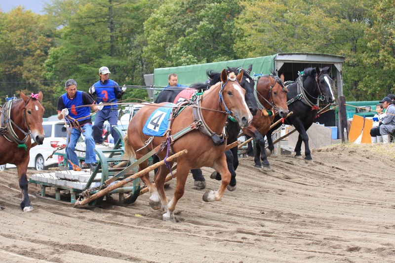 ファイル 392-1.jpg