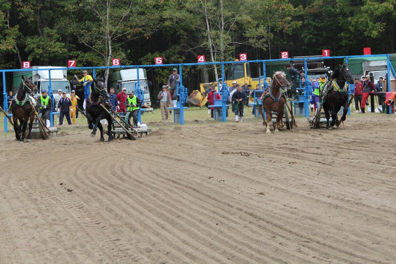 ファイル 393-1.jpg