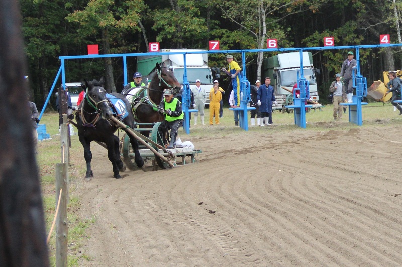 ファイル 393-2.jpg