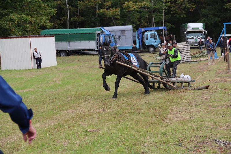 ファイル 393-3.jpg