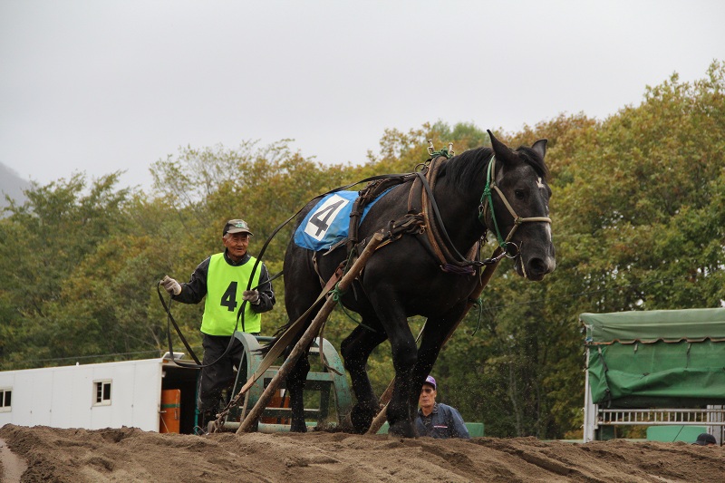 ファイル 393-5.jpg