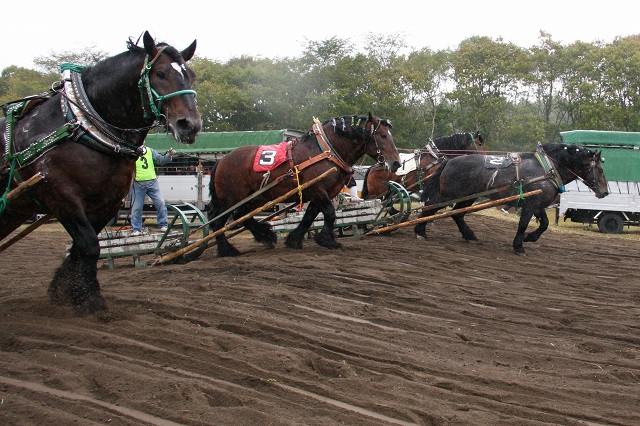 ファイル 395-5.jpg