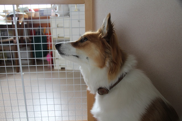 ファイル 396-4.jpg