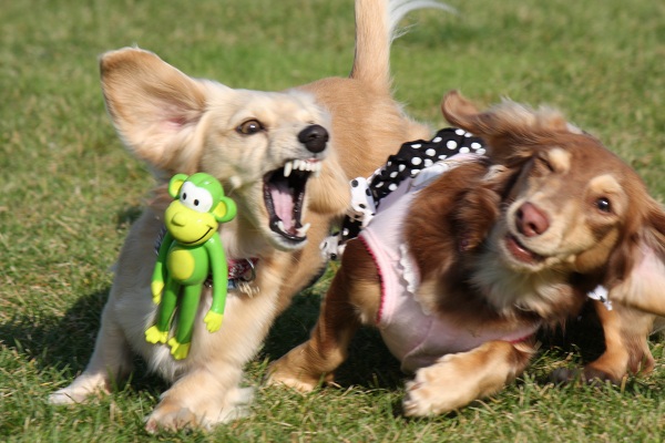 ファイル 397-1.jpg