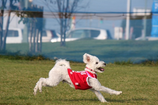 ファイル 397-3.jpg