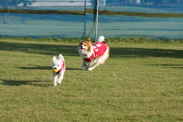 ファイル 397-4.jpg