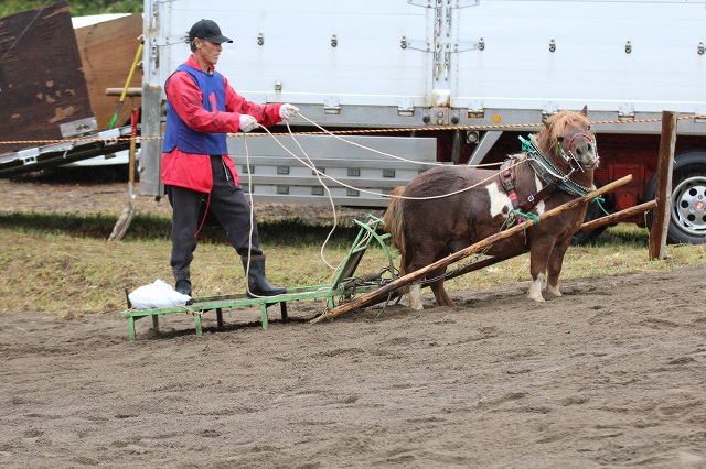 ファイル 398-1.jpg