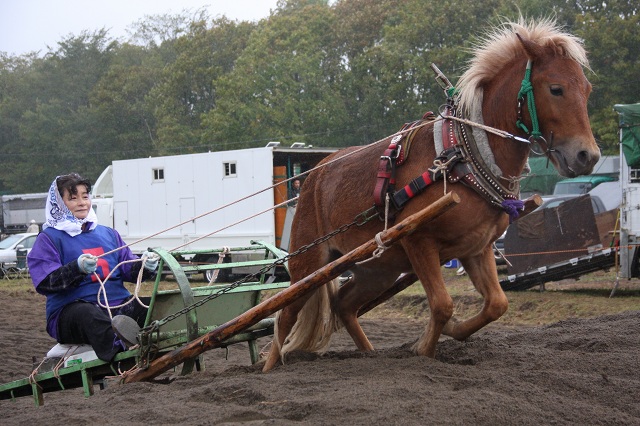 ファイル 398-2.jpg