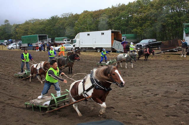 ファイル 399-5.jpg