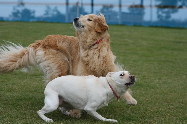 ファイル 406-5.jpg