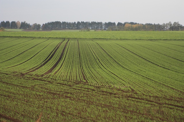 ファイル 407-3.jpg