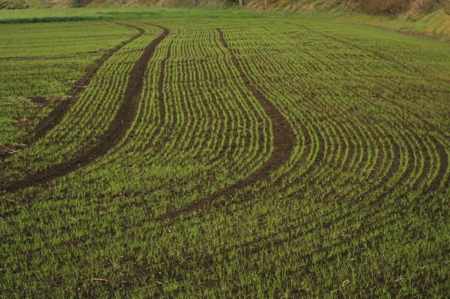 ファイル 407-4.jpg