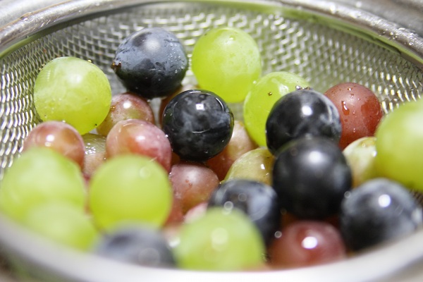 ファイル 409-1.jpg