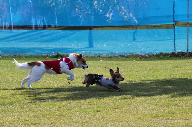 ファイル 410-2.jpg