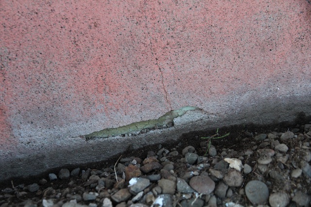 ファイル 410-4.jpg