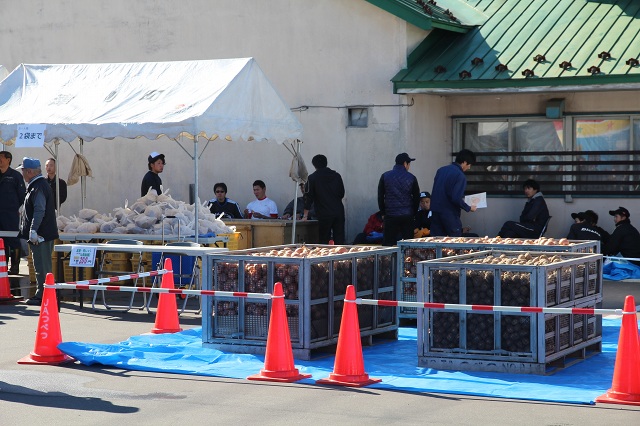 ファイル 411-2.jpg