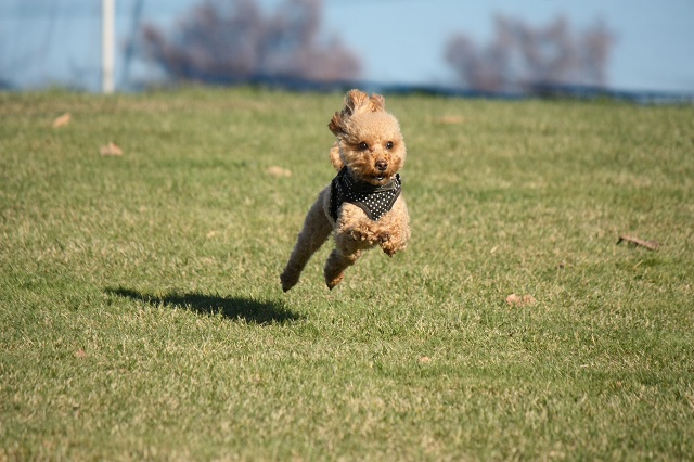 ファイル 411-3.jpg