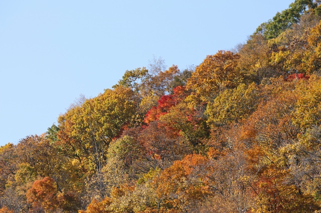 ファイル 413-2.jpg