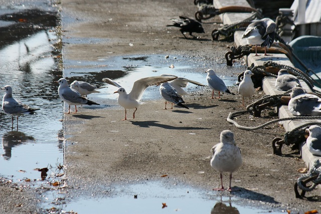 ファイル 413-4.jpg