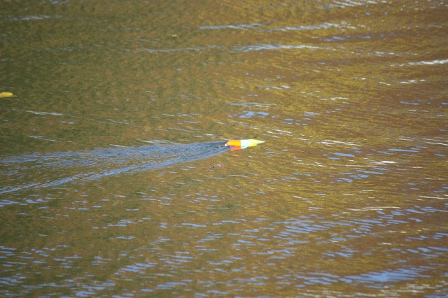 ファイル 413-5.jpg