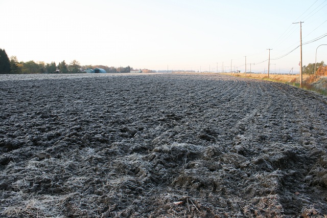 ファイル 414-1.jpg