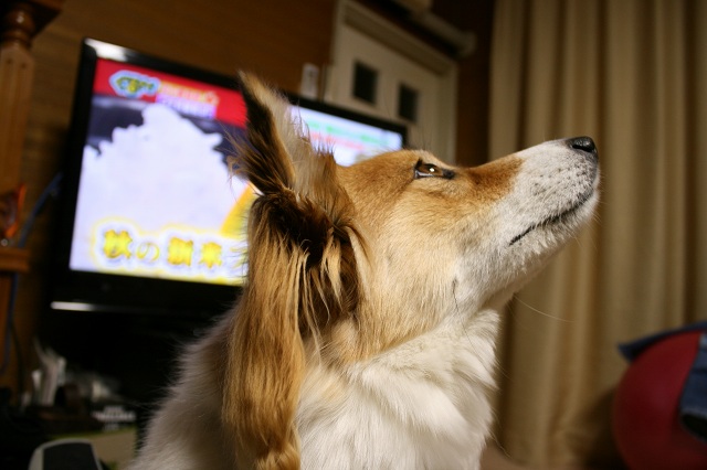 ファイル 414-4.jpg