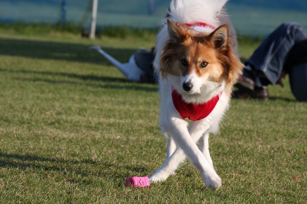 ファイル 414-5.jpg