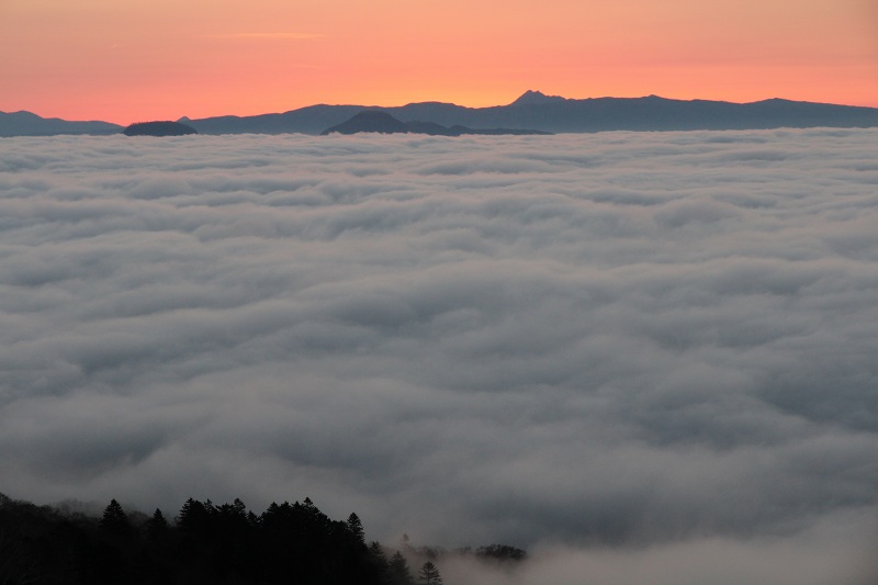 ファイル 415-3.jpg