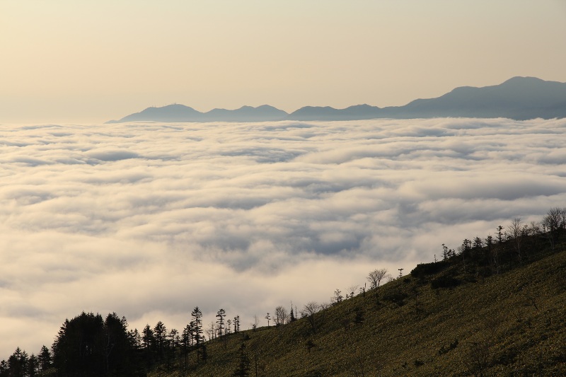 ファイル 415-5.jpg