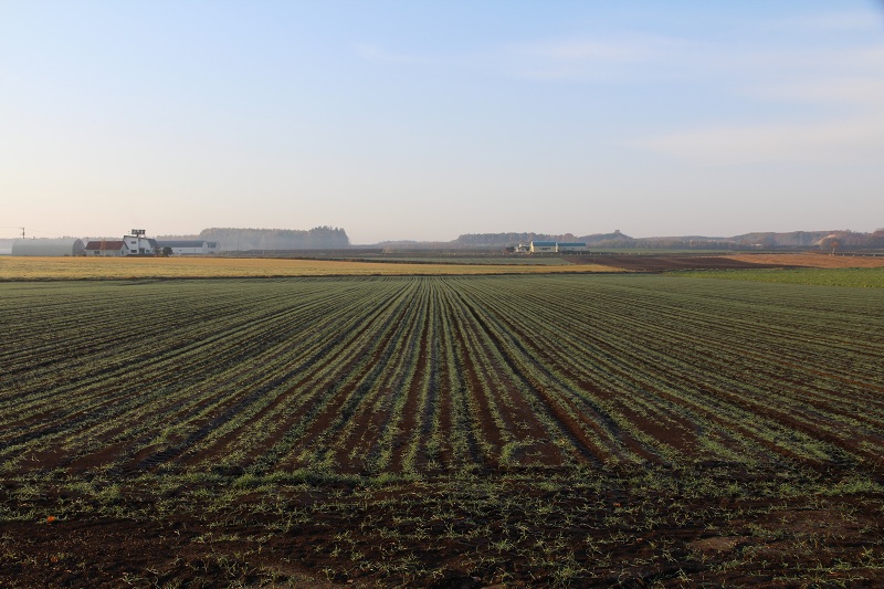 ファイル 416-1.jpg