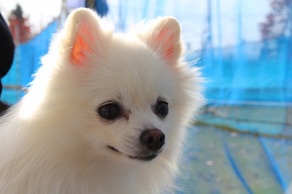 ファイル 417-4.jpg